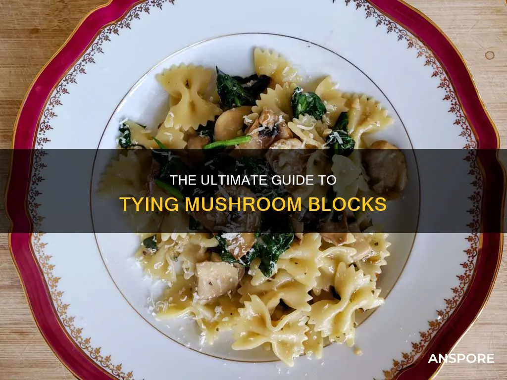 how to tie mushroom blocks