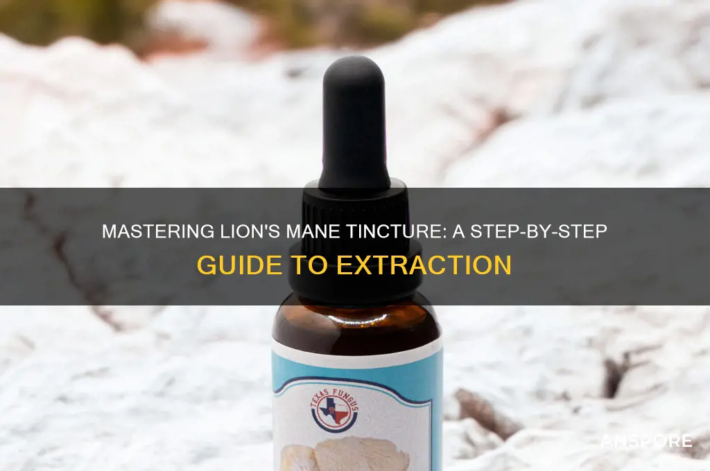 how to tincture lion