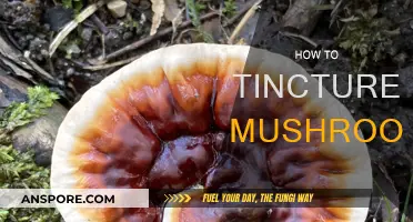 Tincturing Mushrooms: A Step-by-Step Guide to Making Your Own