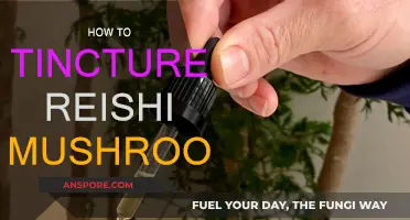 The Magic of Making Reishi Mushroom Tinctures at Home