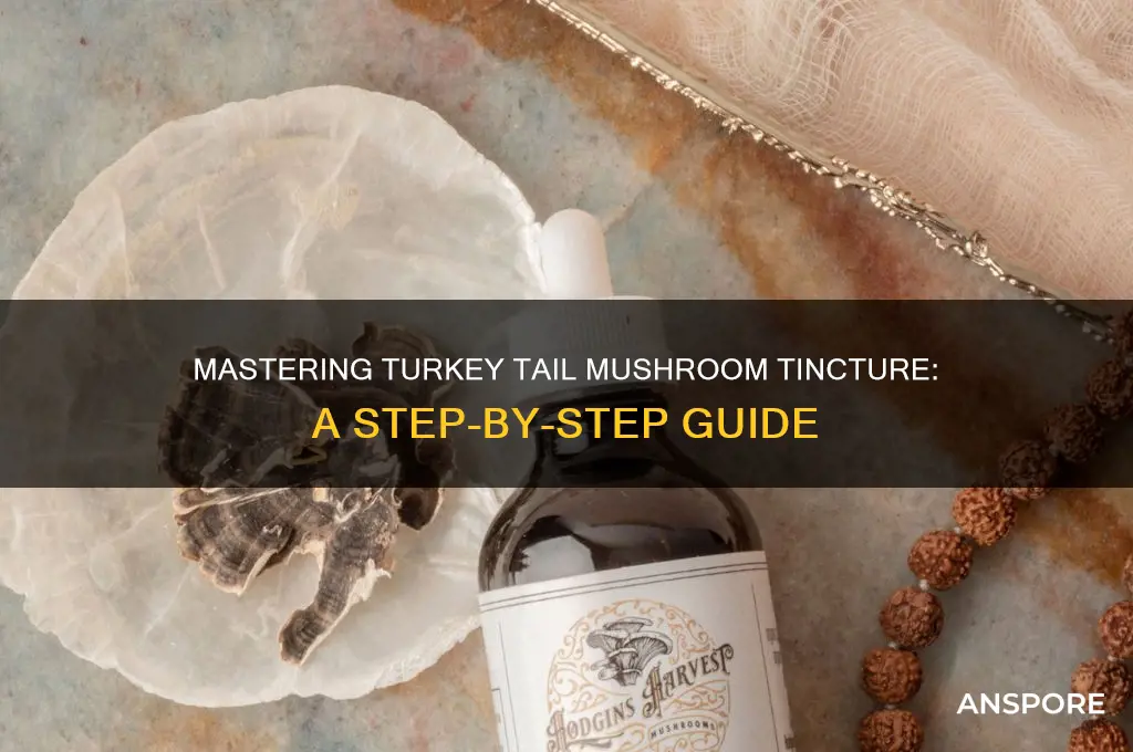 how to tincture turky tail mushroom