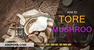 Storing Mushrooms: Best Tips and Tricks
