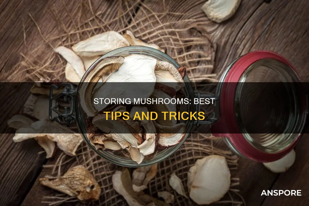 how to tore mushrooms
