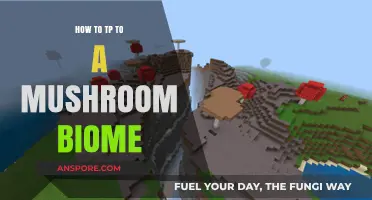 Teleport to Mushroom Biomes: A Step-by-Step Minecraft Guide