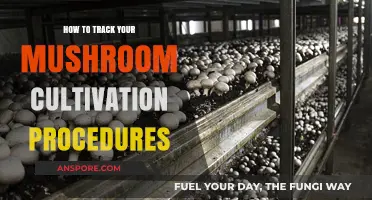 Efficient Mushroom Cultivation: Tracking Techniques for Optimal Growth and Yield