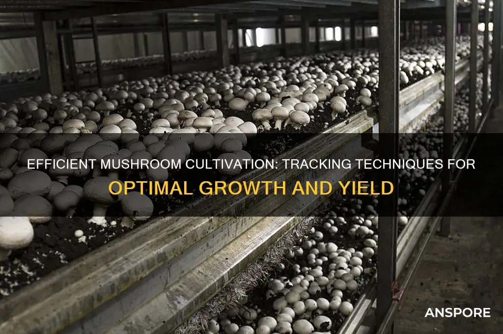 how to track your mushroom cultivation procedures