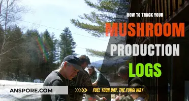 Efficiently Monitor Mushroom Growth: Tracking Production Logs Made Simple