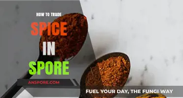 Mastering Spice Trade in Spore: Strategies for Galactic Profits