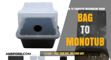 Transferring Mushroom Grow Bags to Monotubs: A Step-by-Step Guide