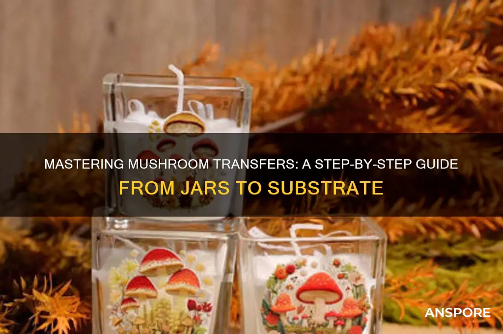 how to transfer mushrooms from jars