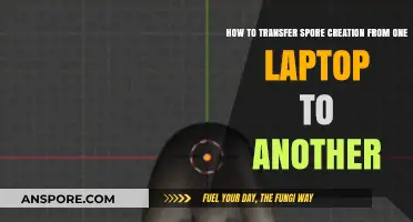 Transferring Spore Creations: A Step-by-Step Laptop Migration Guide