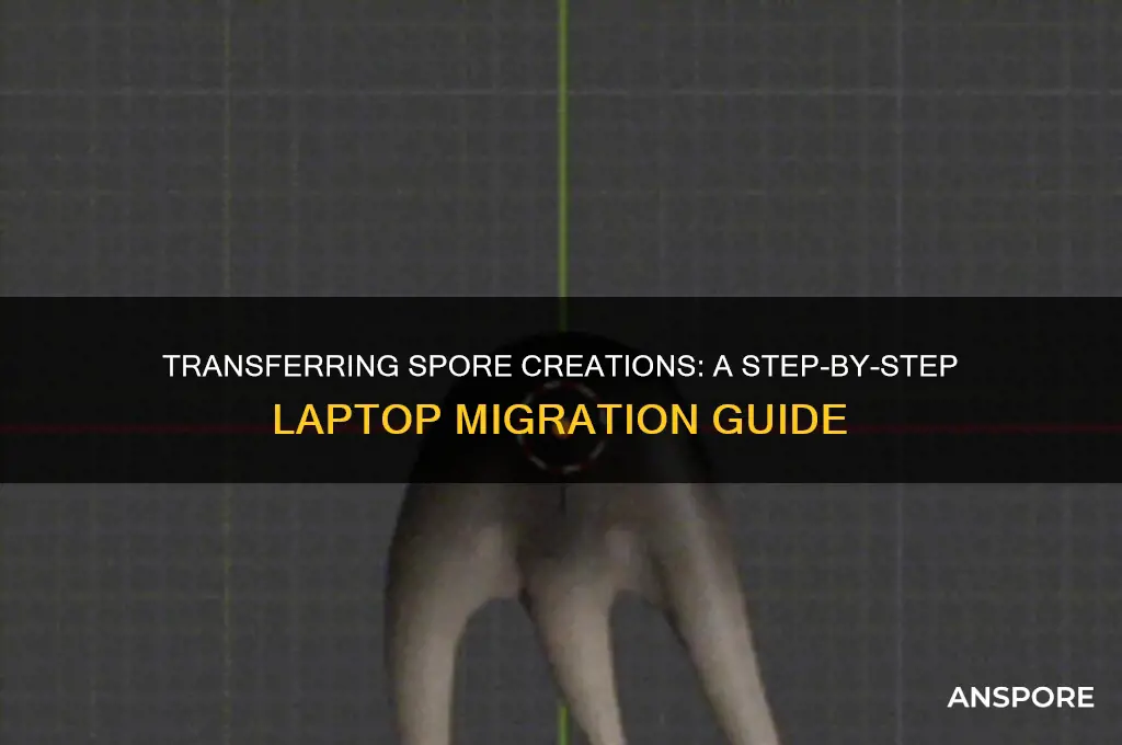 how to transfer spore creation from one laptop to another