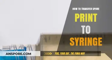 Mastering Spore Syringe Transfers: A Step-by-Step Guide for Beginners