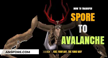 Transferring Spores to Avalanche: A Step-by-Step Guide for Beginners