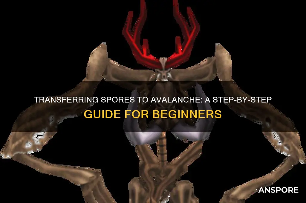 how to transfer spore to avalanche