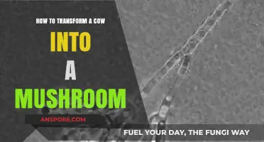 Transforming Cows into Mushrooms: A Sustainable Agricultural Revolution