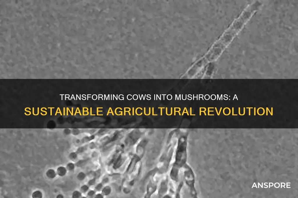 how to transform a cow into a mushroom