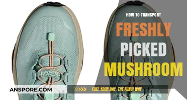Freshly Picked Mushrooms: Expert Tips for Safe and Efficient Transport