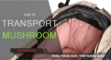 Mushroom Transport: Best Practices for Freshness