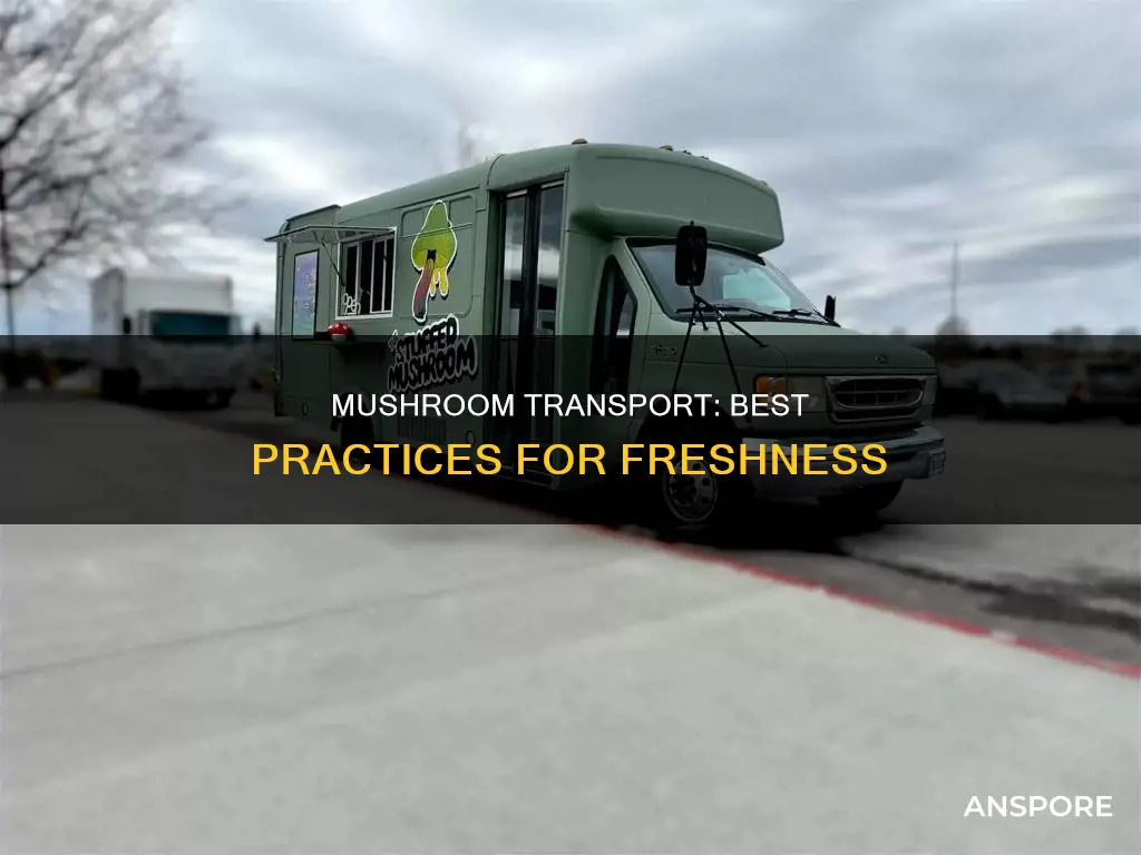 how to transport mushrooms