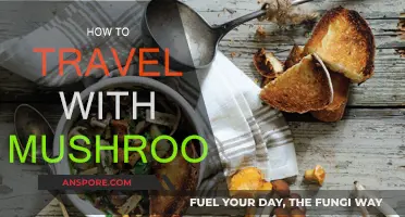 Mushroom Travel: A Guide to Safe Transportation