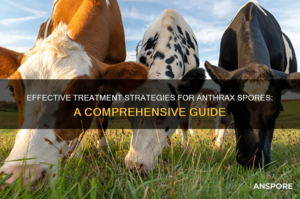 how to treat anthrax spores