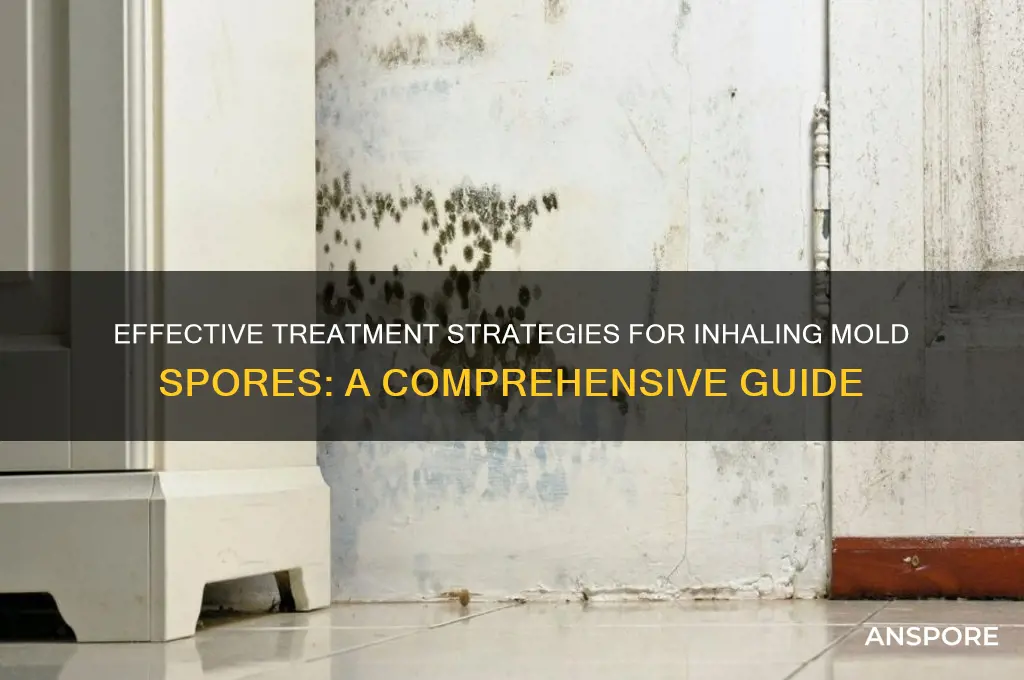how to treat if you inhale mold spores
