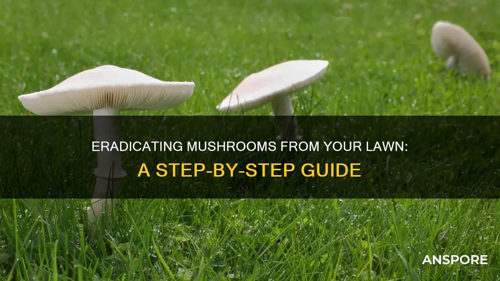how to treat lawn mushrooms