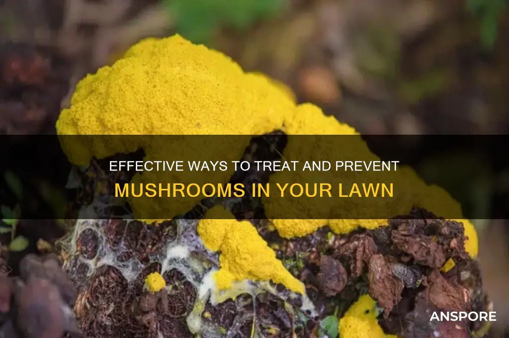 how to treat lawn with mushrooms