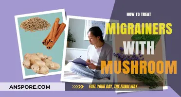 Mushroom Remedies: Natural Migraine Relief Strategies and Treatment Options