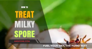 Effective Milky Spore Treatment: A Comprehensive Guide for Lawn Care