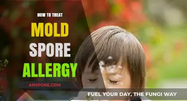 Effective Strategies to Treat Mold Spore Allergy and Relieve Symptoms
