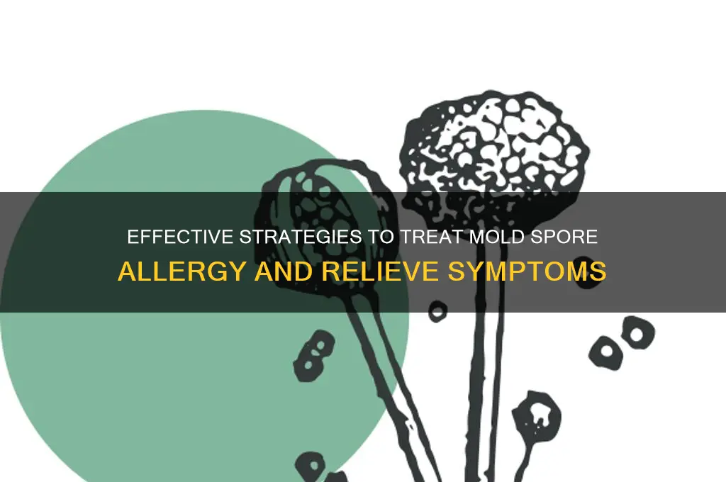 how to treat mold spore allergy