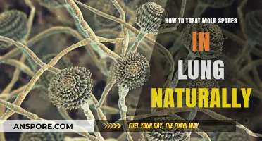 Natural Remedies to Treat Mold Spores in Lungs Effectively