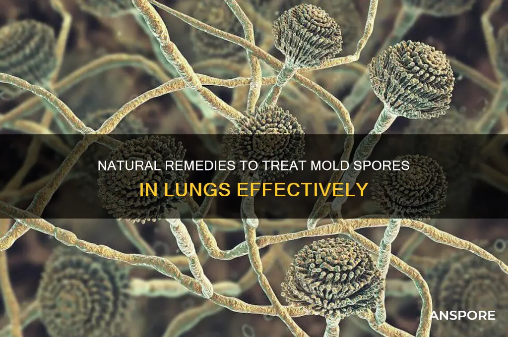how to treat mold spores in lung naturally