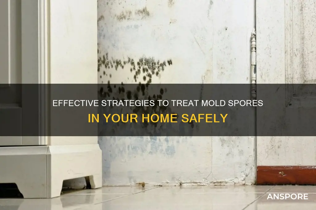 how to treat mold spores