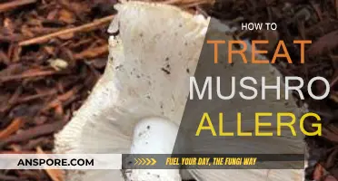 Treating Mushroom Allergies: What You Need to Know