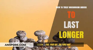 Extend Mushroom Brick Lifespan: Effective Treatment Tips for Durability