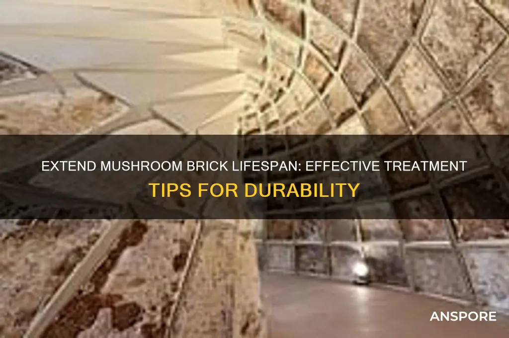 how to treat mushroom bricks to last longer