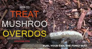 Treating Mushroom Overdose: What You Need to Know