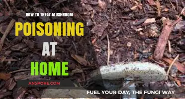 Home Remedies for Mushroom Poisoning: Quick and Safe Treatment Tips