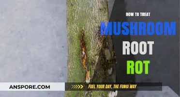 Effective Strategies to Combat and Treat Mushroom Root Rot