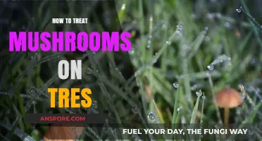 Effective Treatment Methods for Mushrooms Growing on Trees: A Comprehensive Guide