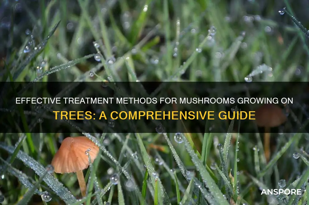 how to treat mushrooms on tres