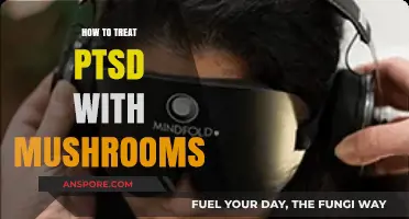 Healing PTSD Naturally: Exploring Mushroom Therapy for Trauma Recovery