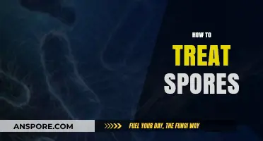 Effective Methods for Treating Spores: A Comprehensive Guide