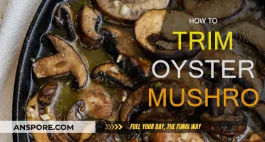 Trimming Oyster Mushrooms: A Step-by-Step Guide