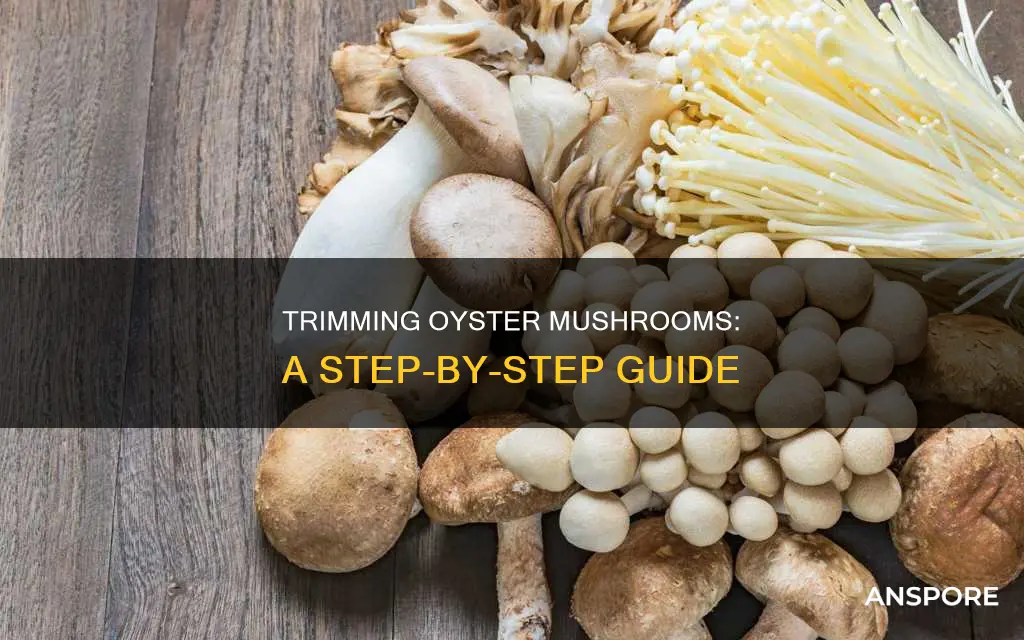 how to trim oyster mushrooms