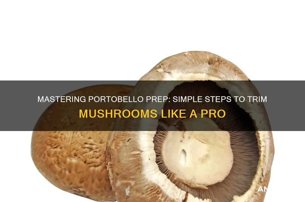 how to trim portobello mushrooms