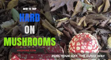 Mastering the Art of Intense Psychedelic Mushroom Experiences Safely